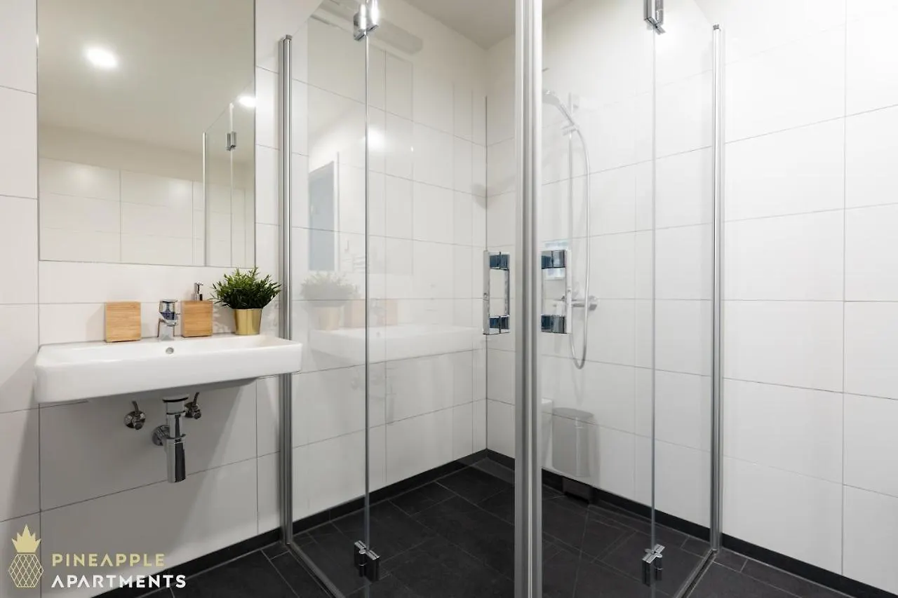 Pineapple Apartments Dresden Altstadt II - 124 Qm - 1X Free Parking