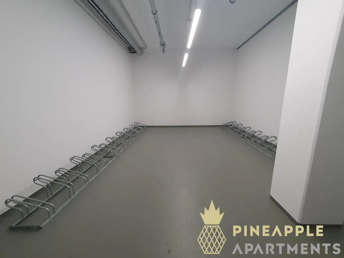 Pineapple Apartments Dresden Altstadt II - 124 Qm - 1X Free Parking Germany